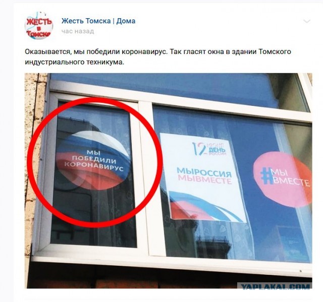 Названа первая страна, победившая коронавирус