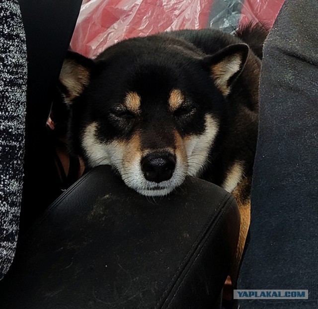 Парень который всегда рядом