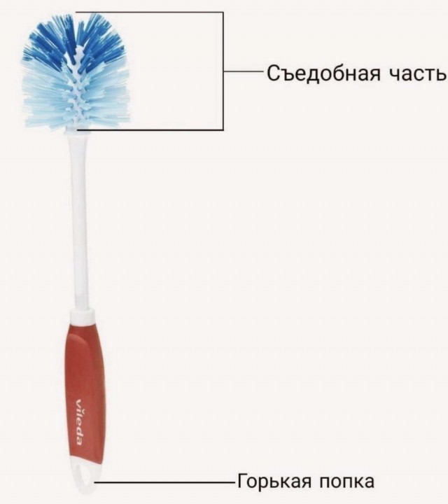 Картинки и мемы для настроения 11.08.2021