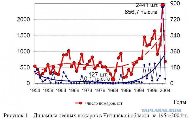 Российские леса постоянно горят, но их биомасса рекордно выросла. Как так вышло и что из этого следует?
