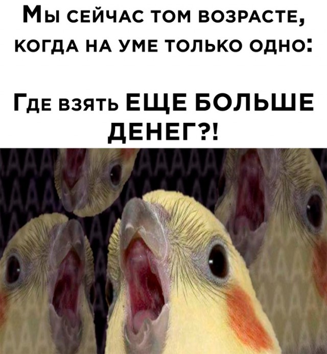 Весёлый полтишок 07.09