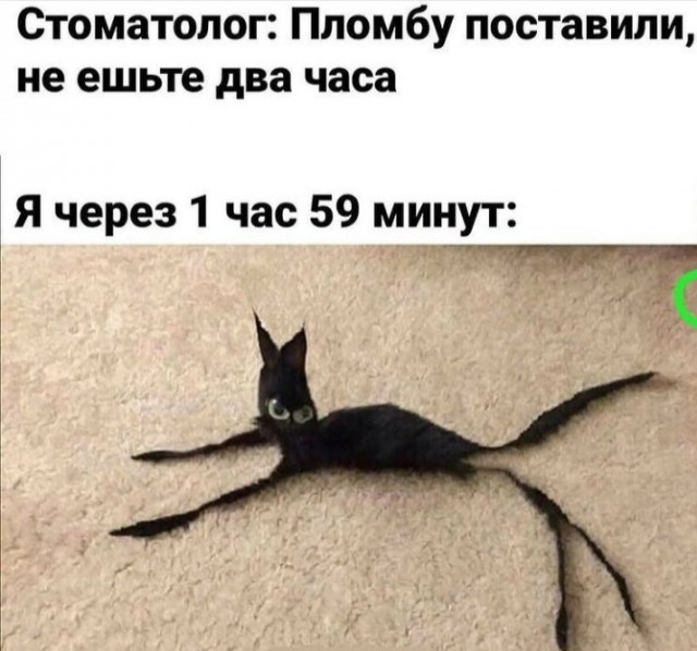 Картинки 23.10.21