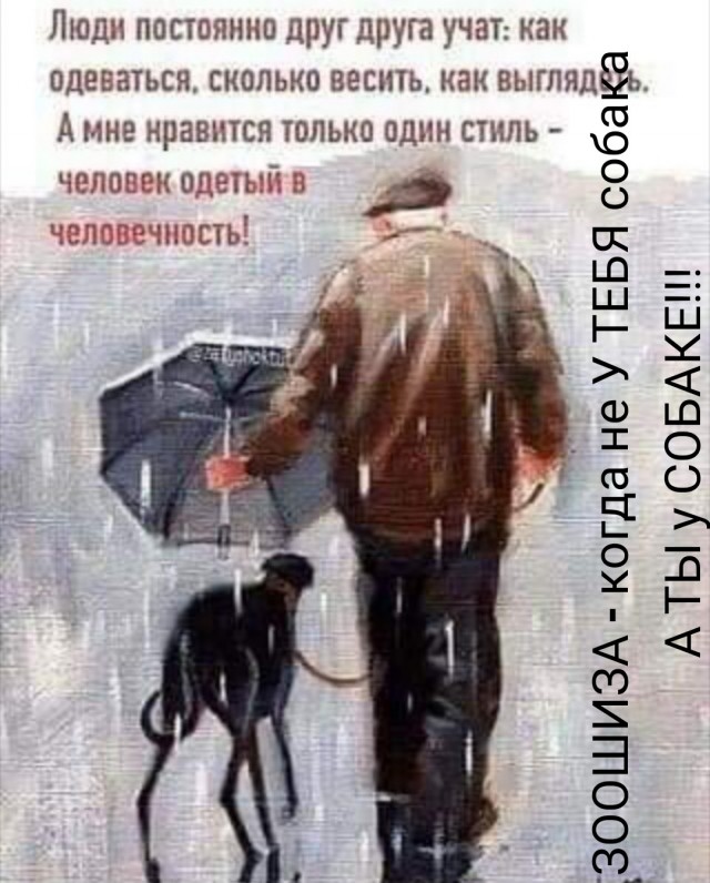 Картинки - не картинки. Смешные - не смешные 2