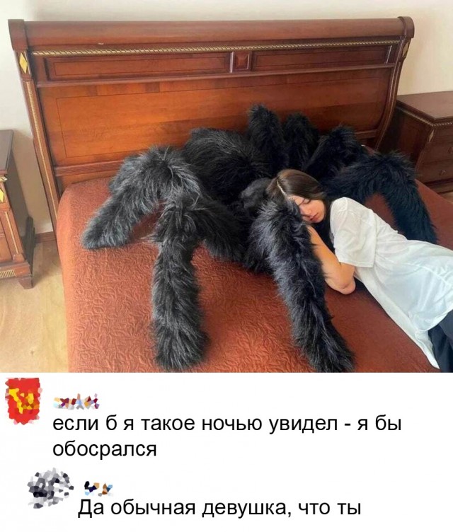Так себе картинки 07.02.22