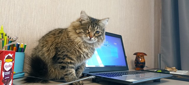 Котовторниковское