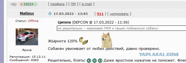 Как поймать собаку