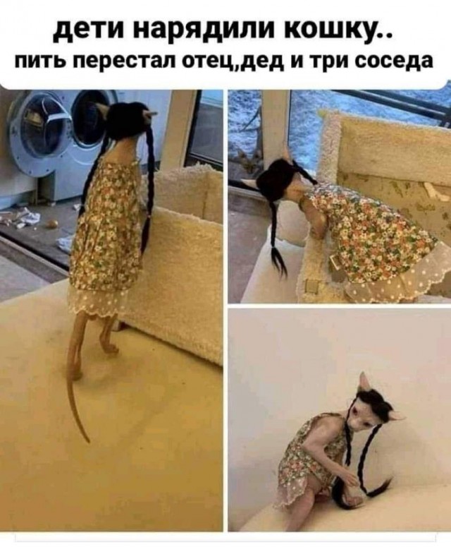 Муж отказывается от наследства