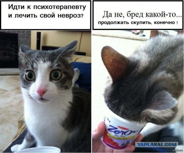 Процесс воспитания мальчиков при матриархате