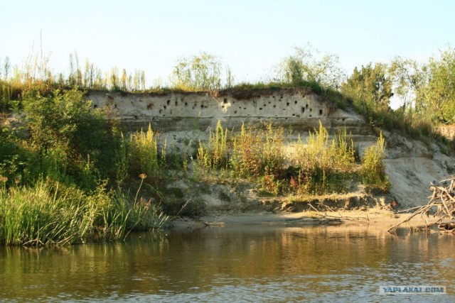 Сплав по Десне, сентябрь 2011