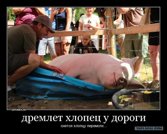 Очередной фейк Украины о выдавании собственных потерь за российские