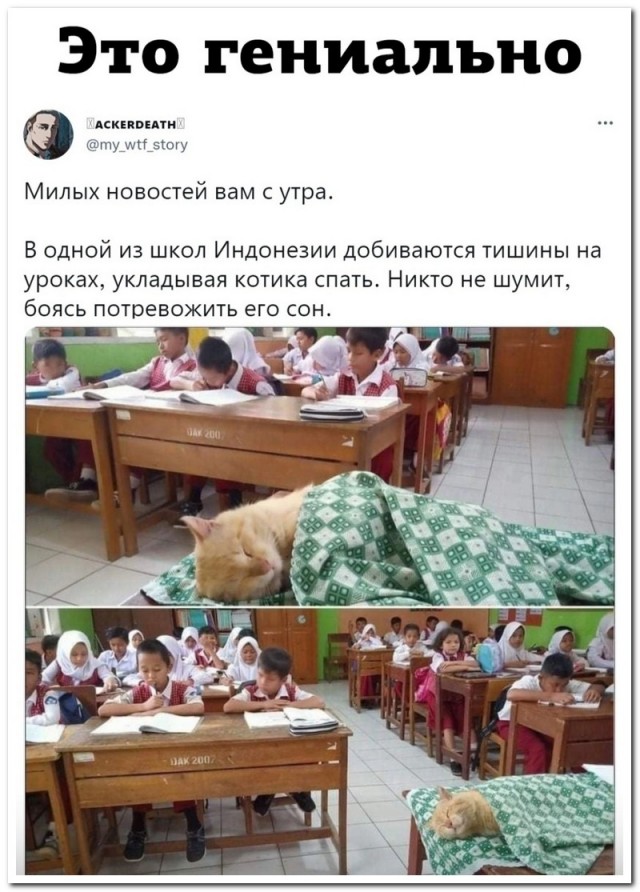 Забавные комментарии из социальных сетей (30.05.22)