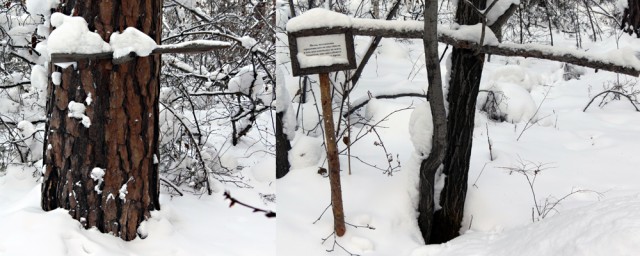 Братск. Над затопленной страной.
