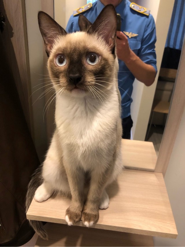 Кот д’Ивуар