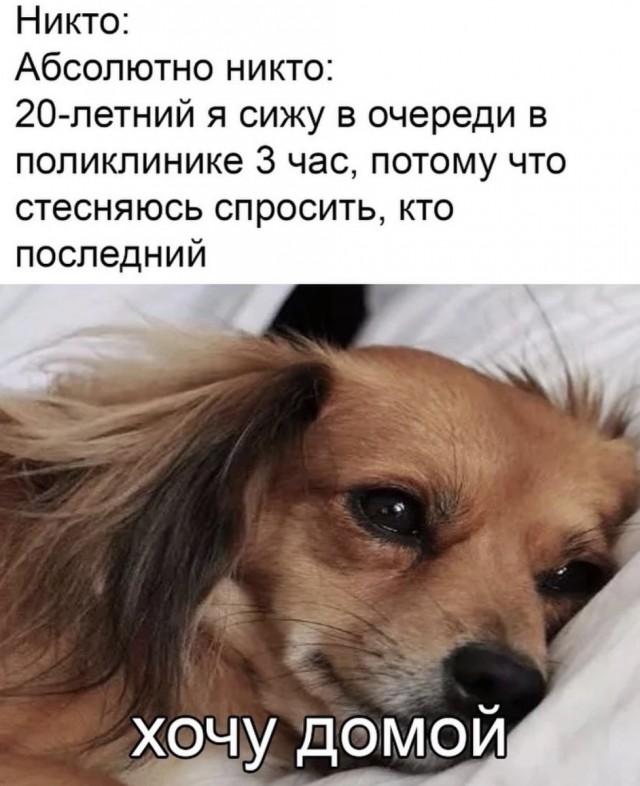 Юмор из Сети 20.06.22