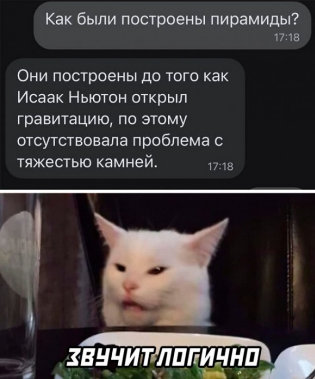 Весёлый полтишок 11.07.22