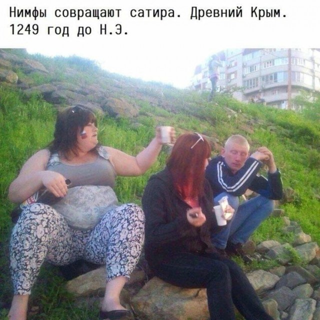 Скотсети и прочие интернеты 15.07.22