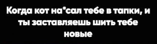 Так себе картинки 09.09.22