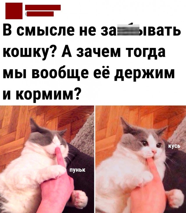 Так себе картинки 20.09.22