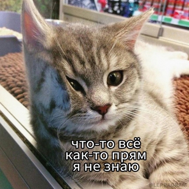 Картинки и мемы для настроения - 111