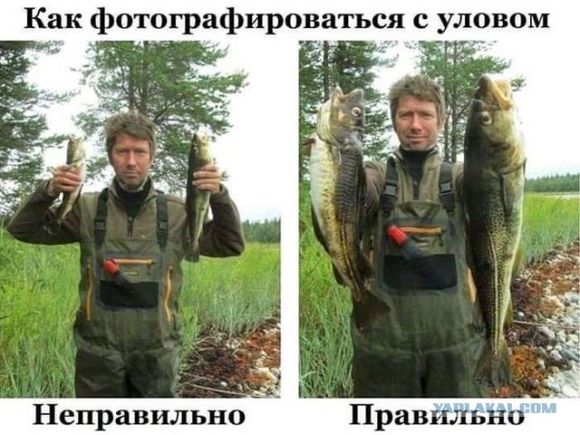 Закрыл сезон (про рыбов)
