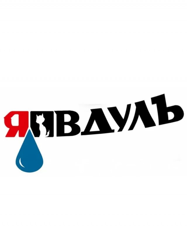 Возможно ли стать профессиональным фотографом за год?