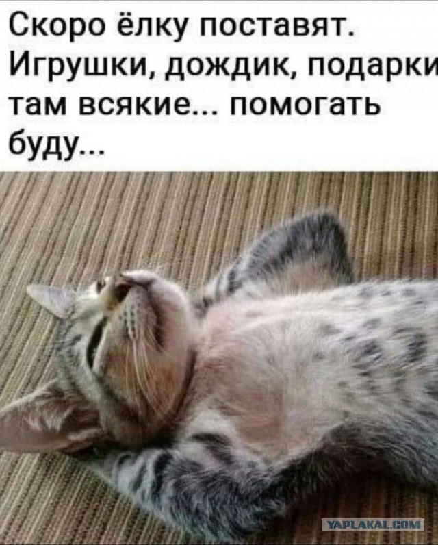 Победная поступь идиотизма по планете – том 3