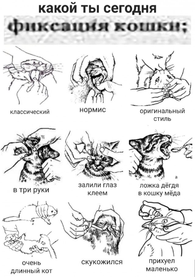 Пересказываю картинки при свете свечки (25 пикч) №1