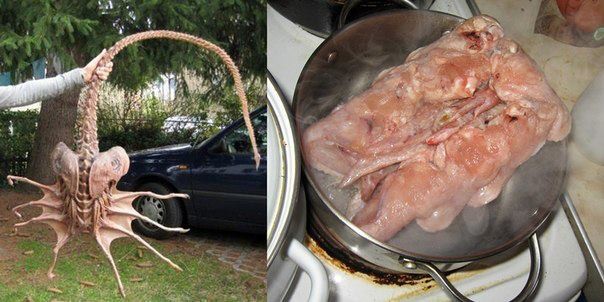 Челябинцам на заметку