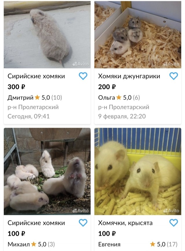 Хорошие новости