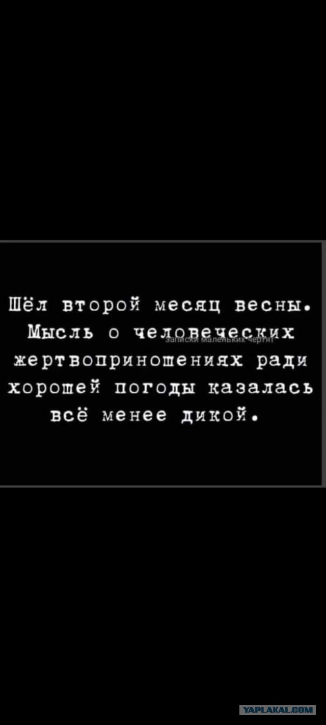 Весёлый полтишок 16.04.23