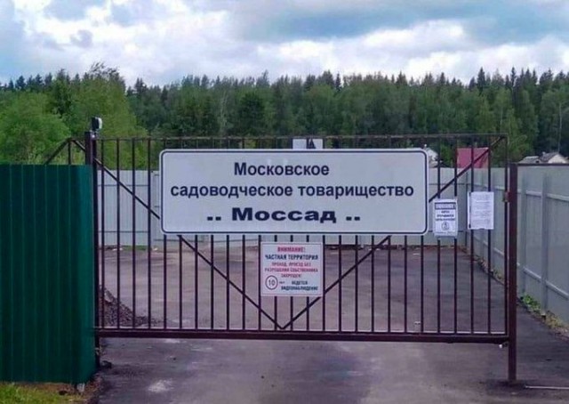 Нестандартный пост в пятницу