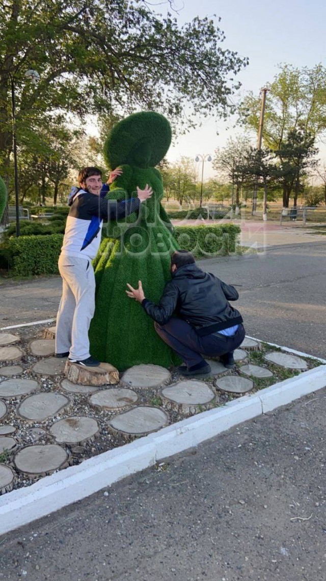 В Ставропольском крае кавказцы, увидев зеленое насаждение в виде женщины, залезли на него и стали имитировать половой акт