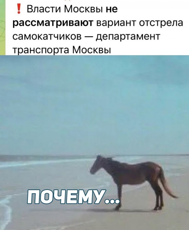 Так себе картинки 04.06.23