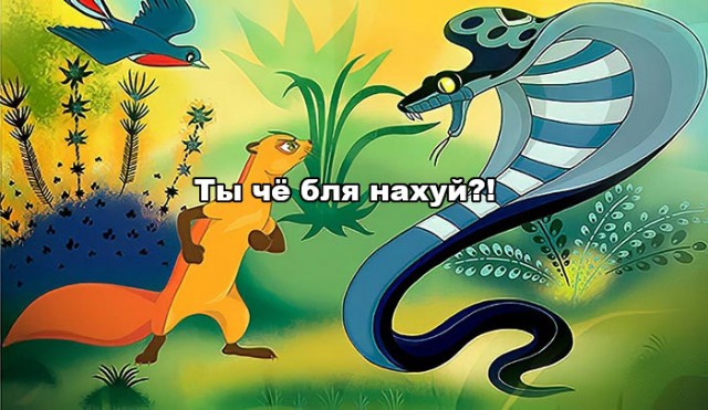 Эволюция дала небольшой сбой