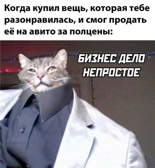 Нуштош 20.06.2023