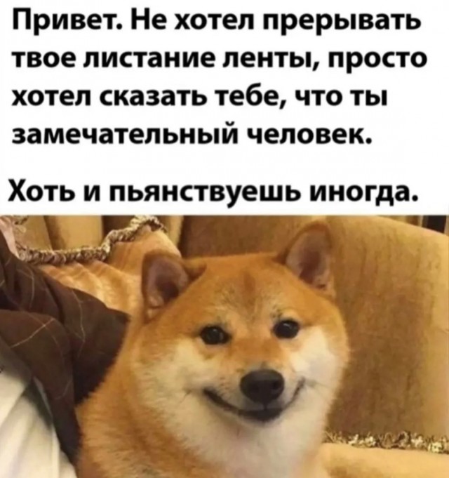 Весёлый полтишок 08.07.23