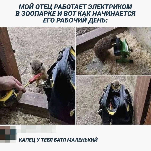 Весёлый полтишок 23.07.23