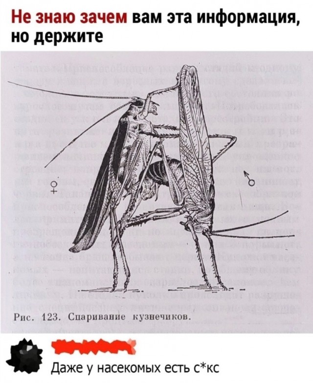 Так себе картинки 11.09.23
