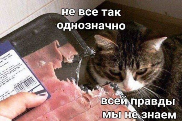 Преступник пойман по горячим следам и проведена зубоскопическая экспертиза