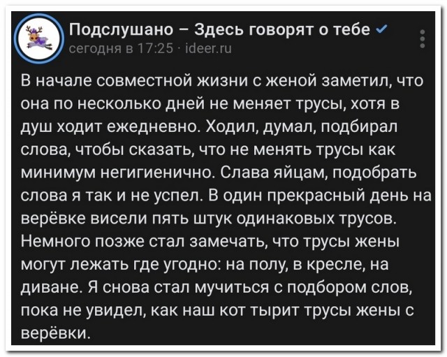 Забавные комментарии из социальных сетей (15.01.24)
