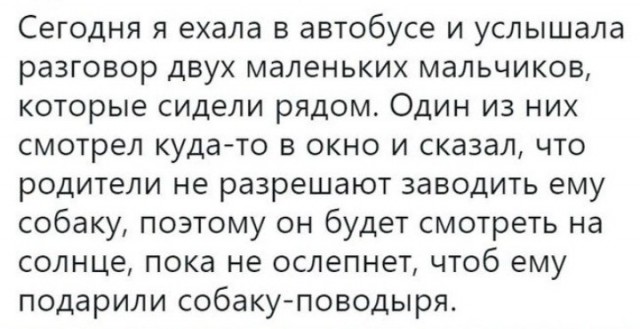 Всего понемногу. От 21.01.24