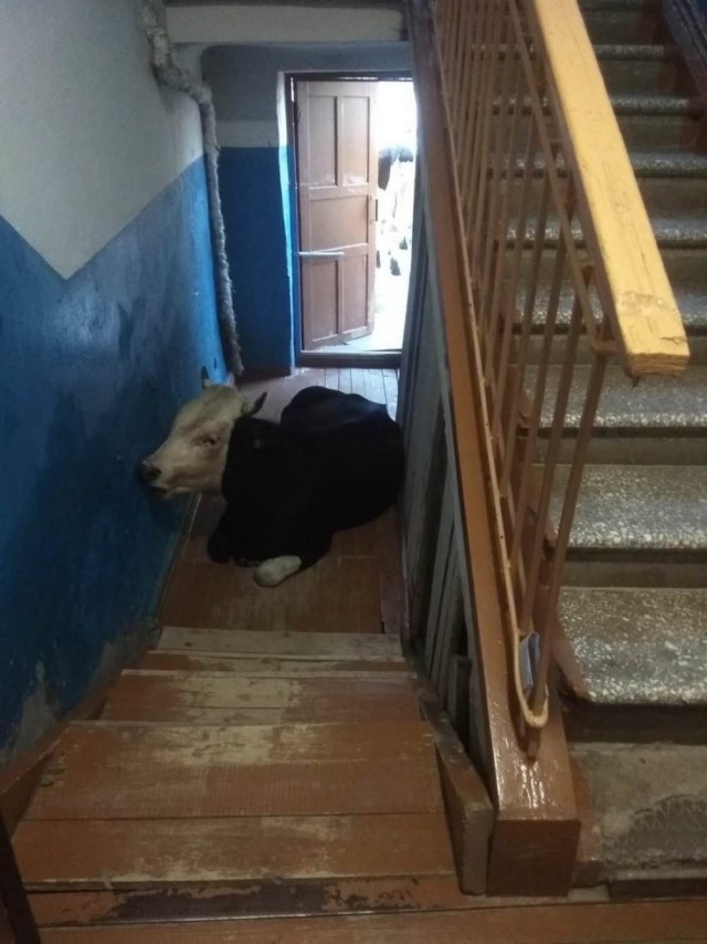 Прикольные и просто красивые картинки 10.05.2024