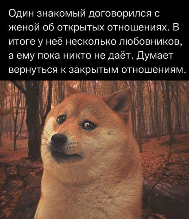 Немного пошлых картинок 16+ 21.08.24