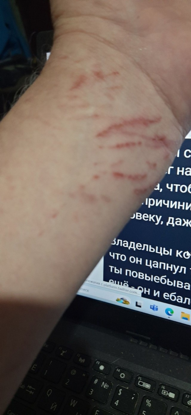 Так себе картинки 29.10.24