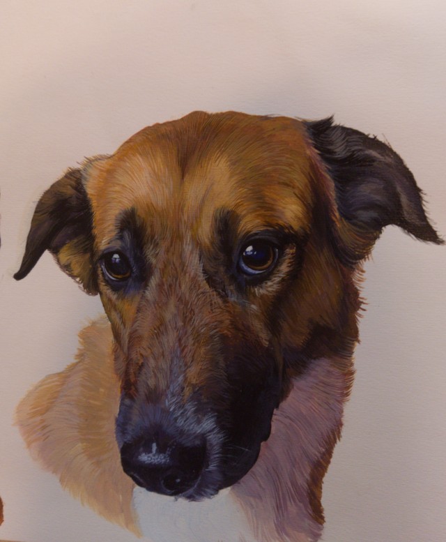 Портреты пёсов