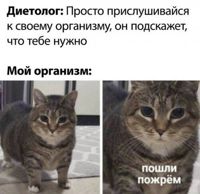 Картинки на 	субботний день