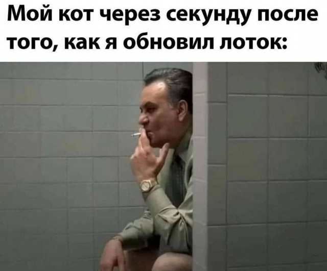 Завалялось тут случайно немного забавных картинок