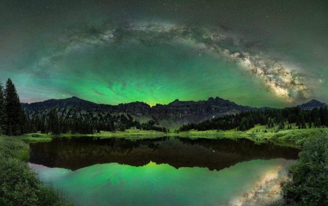 Объявлены победители конкурса World Nature Photography Awards 2025