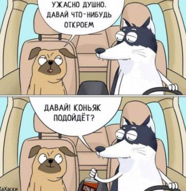 Так себе картинки 01.03.25