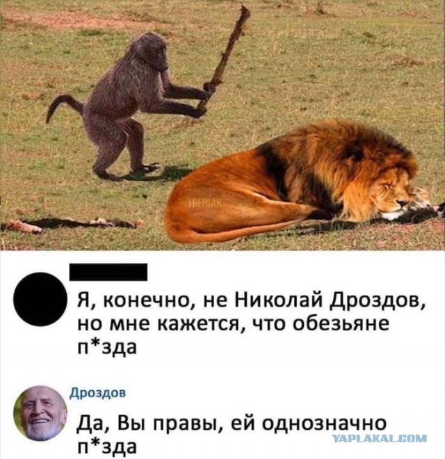 Хотел адреналин